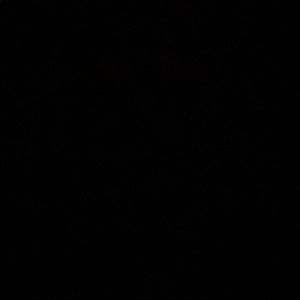 Meet your Posher, Nadia